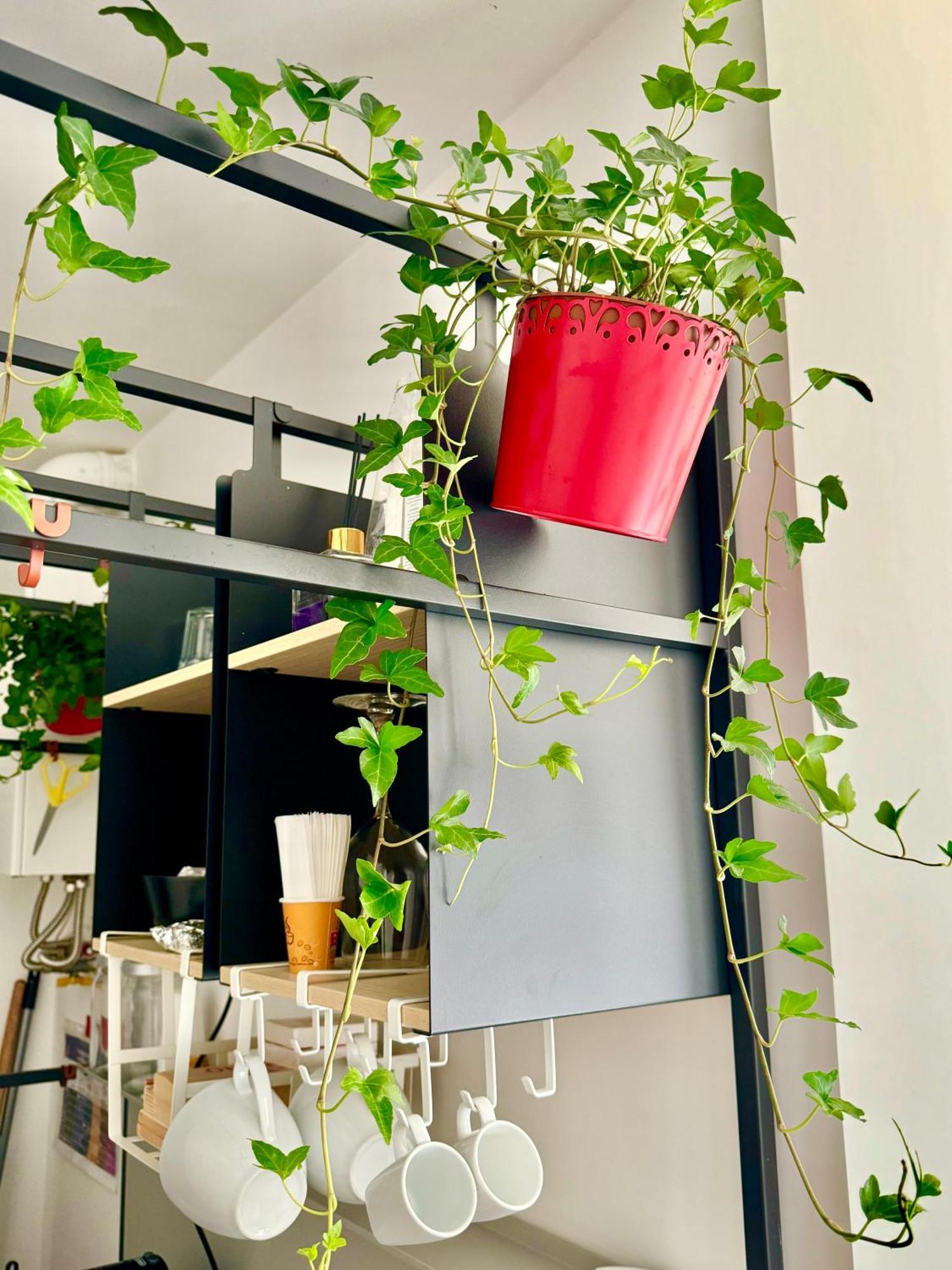 Residenza D'Artista Al Duomo1 Hotel Salerno Ngoại thất bức ảnh